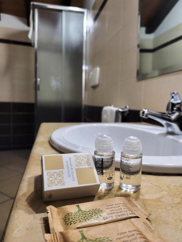 Koupelna v ubytování Hotel Federico II