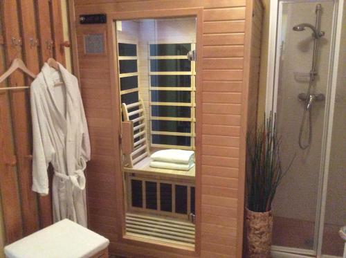 シュラートミンクにあるAppartementhaus Evelynのバスルーム(シャワー、トイレ、鏡付)