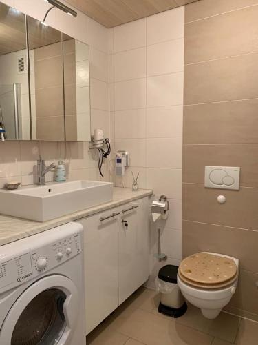 a bathroom with a washing machine and a sink at Allgäu Ankerplatz mit Sauna und Pool in Scheidegg
