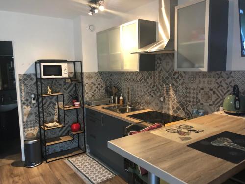La cuisine est équipée d'un comptoir, d'un évier et d'un four micro-ondes. dans l'établissement ORION, à Cannes