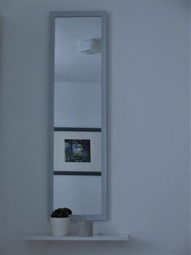 a mirror on a white wall with a plant on a shelf at Apartments Biba & Lucy in Ražanac