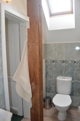 a bathroom with a toilet and a skylight at Splavský zámeček in Staré Splavy
