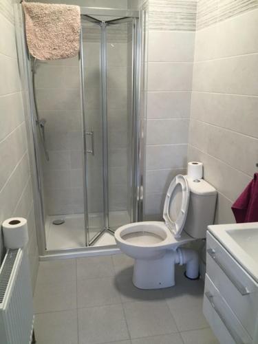 a white bathroom with a shower and a toilet at The Foxes Covert in Multyfarnham