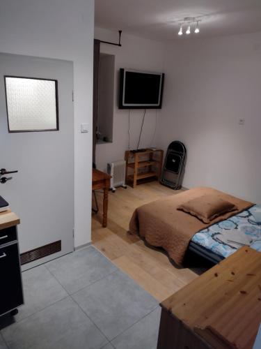 a bedroom with a bed and a flat screen tv at sudety hut 3 in Podgórzyn