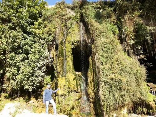 a man standing on a rock in front of a tree at Aitch Boutique Hotel - an LIH Hotel in Madaba