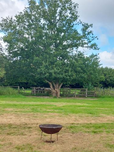 a grill in the middle of a field with a tree at Pitch your own tent on camp field at Hopgarden Camping TN5 6QX - NO BEDS INCLUDED in Wadhurst