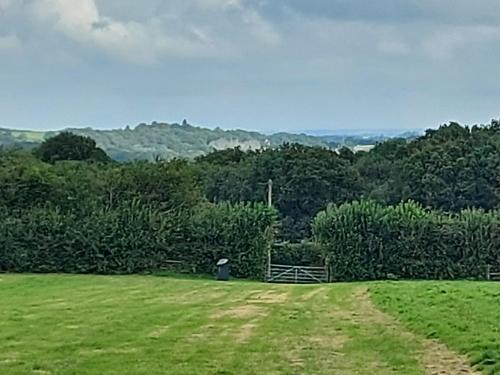 a grassy field with a fence and trees in the background at Pitch your own tent on camp field at Hopgarden Camping TN5 6QX - NO BEDS INCLUDED in Wadhurst