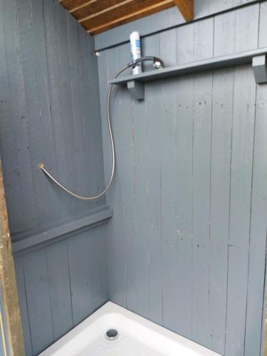 a bathroom with a blue wall with a hose at Pitch your own tent in beautiful location Kent Sussex border in Wadhurst