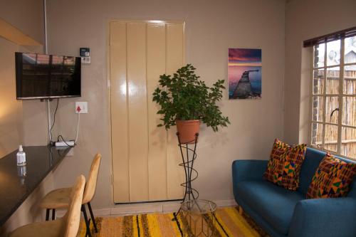 un salon avec un canapé bleu et une plante dans l'établissement M &M Guest Cottage, à Edenvale