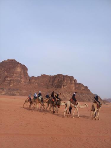 Επισκέπτες που μένουν στο Wadi rum secrets camp