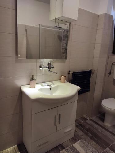 a bathroom with a sink and a toilet at Dubravka in Dinjiška