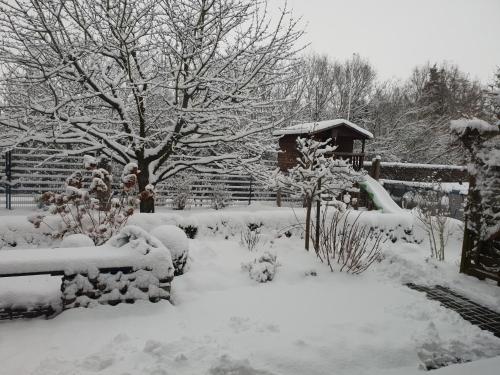 a garden covered in snow with a tree and a house at Ferienhaus am Burggraben in Stendal