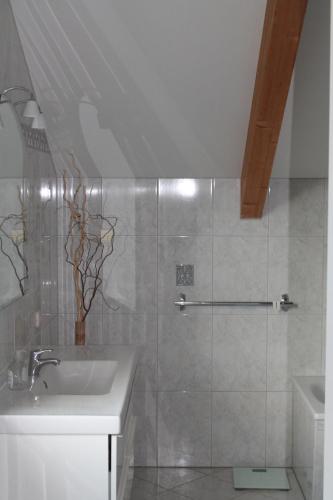 bagno bianco con lavandino e doccia di Ferienhaus am Burggraben a Stendal