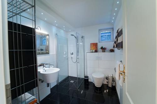 a bathroom with a sink and a shower and a toilet at Freundliche Ferienwohnung (Souterrain) mit Gartenmitbenutzung im Haus Lotus in Bad Urach