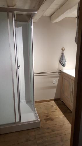 a bathroom with a glass shower in a room at Maison de montagne in Latour-de-Carol