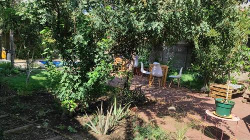a garden with a table and chairs under a tree at Mondrian Santiago in Santiago