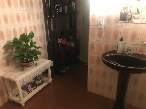 ein Badezimmer mit einem Waschbecken und einer Topfpflanze auf dem Tisch in der Unterkunft hospedagem quarto casa da wal in Goiás