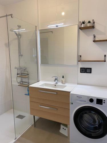 une salle de bain avec une machine à laver et un lavabo dans l'établissement La Tintaine- T2 avec Terrasse, à Villard-de-Lans