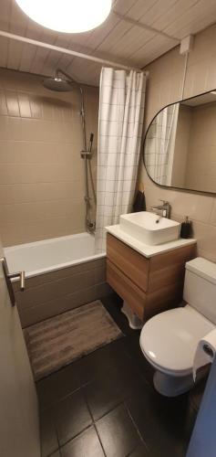 ein Badezimmer mit einem Waschbecken, einer Badewanne und einem WC in der Unterkunft 2 pièces équipé avec parking privé in Gryon