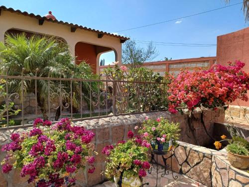 a garden with flowers on a stone wall at CASONA DOS VIDAS in El Sauz Tequisquiapan