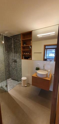 y baño con lavabo, ducha y aseo. en Ferienwohnung Stenna Allegra, en Flims