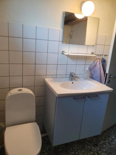 a bathroom with a toilet and a sink and a mirror at Underetage i Dronningborgvilla in Randers