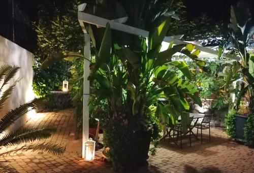 a garden at night with a plant and lights at La Foresteria Garden Boutique B&B in Catania