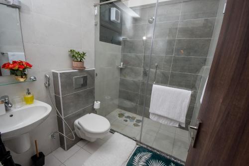 a bathroom with a shower and a toilet and a sink at Modern luxury one bedroom furnished apartment in Kilimani, Nairobi, Kenya in Nairobi
