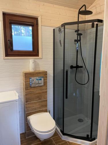 a bathroom with a shower and a toilet at Schadzka w dwunastce z widokiem na jezioro in Borsk
