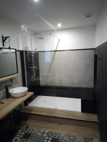 une salle de bain avec une douche en verre et un lavabo dans l'établissement Appartement 97 M2 proche Puy du fou, à Saint-Laurent-sur-Sèvre