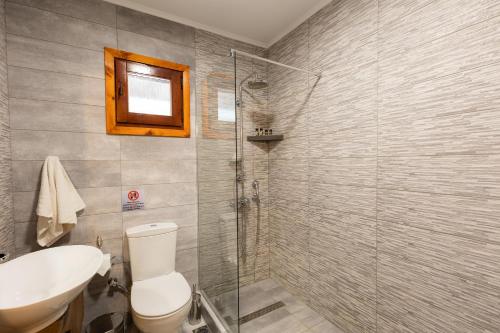 a bathroom with a shower and a toilet and a sink at Casa Villa, Xenia Paliouri in Paliouri