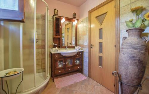 a bathroom with a sink and a shower and a vase at La villa del Madrigale in Agnone