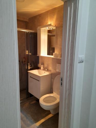 a bathroom with a white toilet and a sink at Holiday apartments in Niš