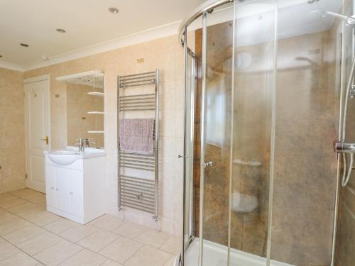 a bathroom with a shower and a sink at Blaensilltyn in Bettws-Evan