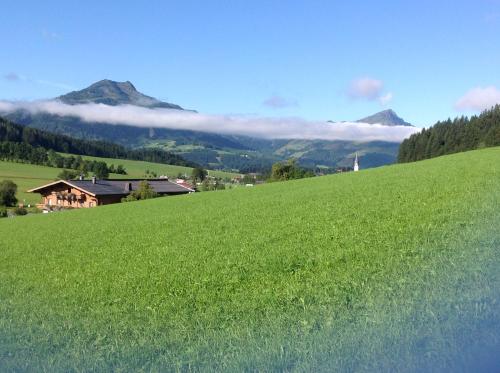 a field of green grass with mountains in the background at Ferienwohnung Freudenmacher in Sankt Jakob in Haus