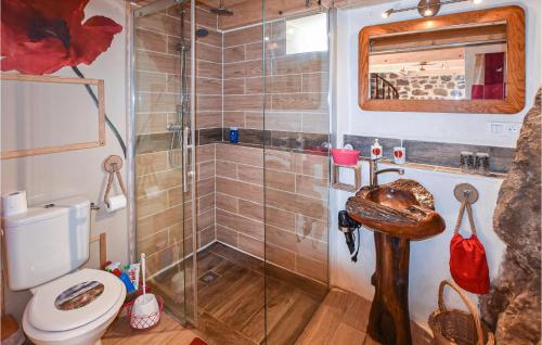 een badkamer met een douche, een toilet en een wastafel bij Lovely Home In Lamastre With Kitchen in Lamastre