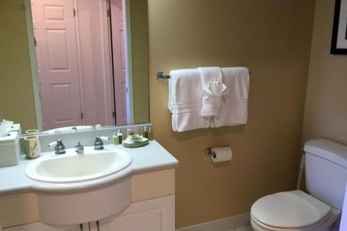 W łazience znajduje się umywalka, toaleta i lustro. w obiekcie Emmalani w mieście Princeville