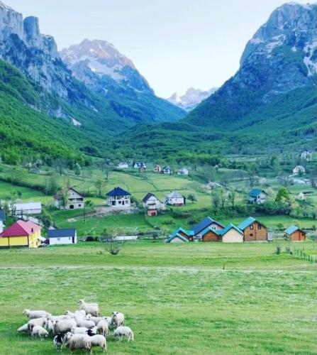 Gallery image of Moonlight House in Vusanje