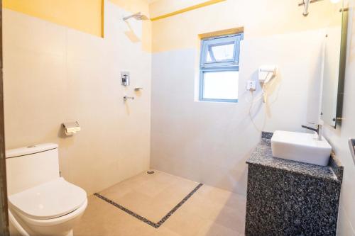 a bathroom with a toilet and a sink at Hotel Silver Oaks Inn in Pokhara