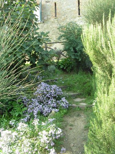 a garden with purple and white flowers next to a building at Fattoria di Rigone in Coltavolino