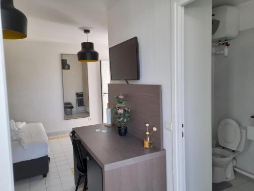 ein Badezimmer mit einem Waschtisch, einem WC und einem Spiegel in der Unterkunft Studio 25 m Manganao Joela 4 personnes avec machine a laver in Saint-François