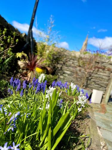 a garden with purple and white flowers in a yard at Lacet House in Ambleside
