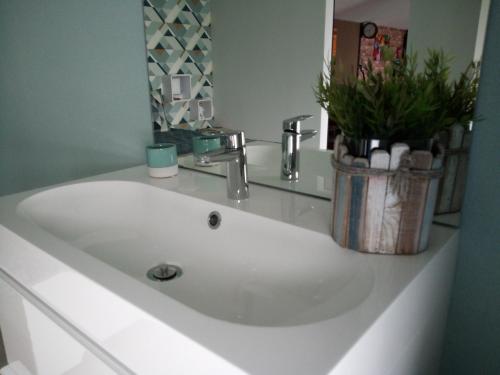a white bathroom sink with a potted plant on it at L'écurie gîte duplex Welness in Spa