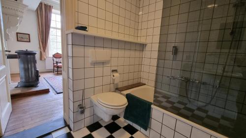a bathroom with a toilet and a shower at Landgoed Kasteel Terborgh in Schinnen