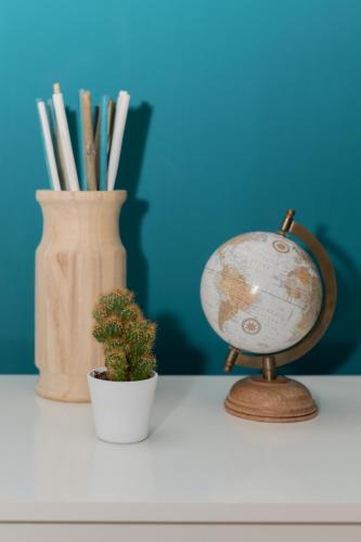a globe and a plant on a table with a vase at Il Riccio Apartment 28 in Procida