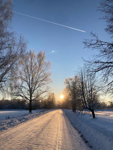 a snow covered road with the sun in the distance at UpeNes in Lubāna