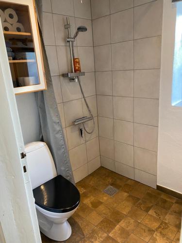 a bathroom with a toilet and a shower at Hegnsly in Odder