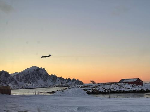 an airplane is flying over a snow covered mountain at Den gamle Fyrmesterboligen in Andenes