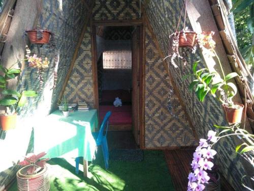 a house with a table and potted plants in it at SHUKRAN Apartelle in Siquijor