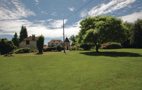 une cour verdoyante avec une maison et un arbre dans l'établissement Cozy Home In Savigvac-Lédrier With Wifi, à Savignac-Lédrier